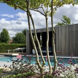 Cubic met luifel | moderne poolhouse | moderne poolhouses | West-Vlaanderen